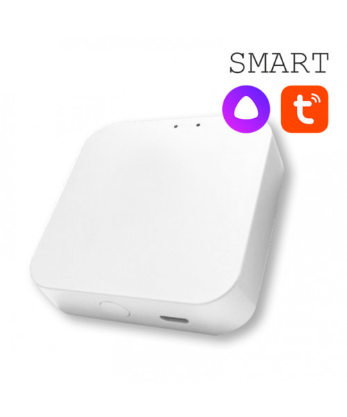 Адаптер WiFi СМАРТ